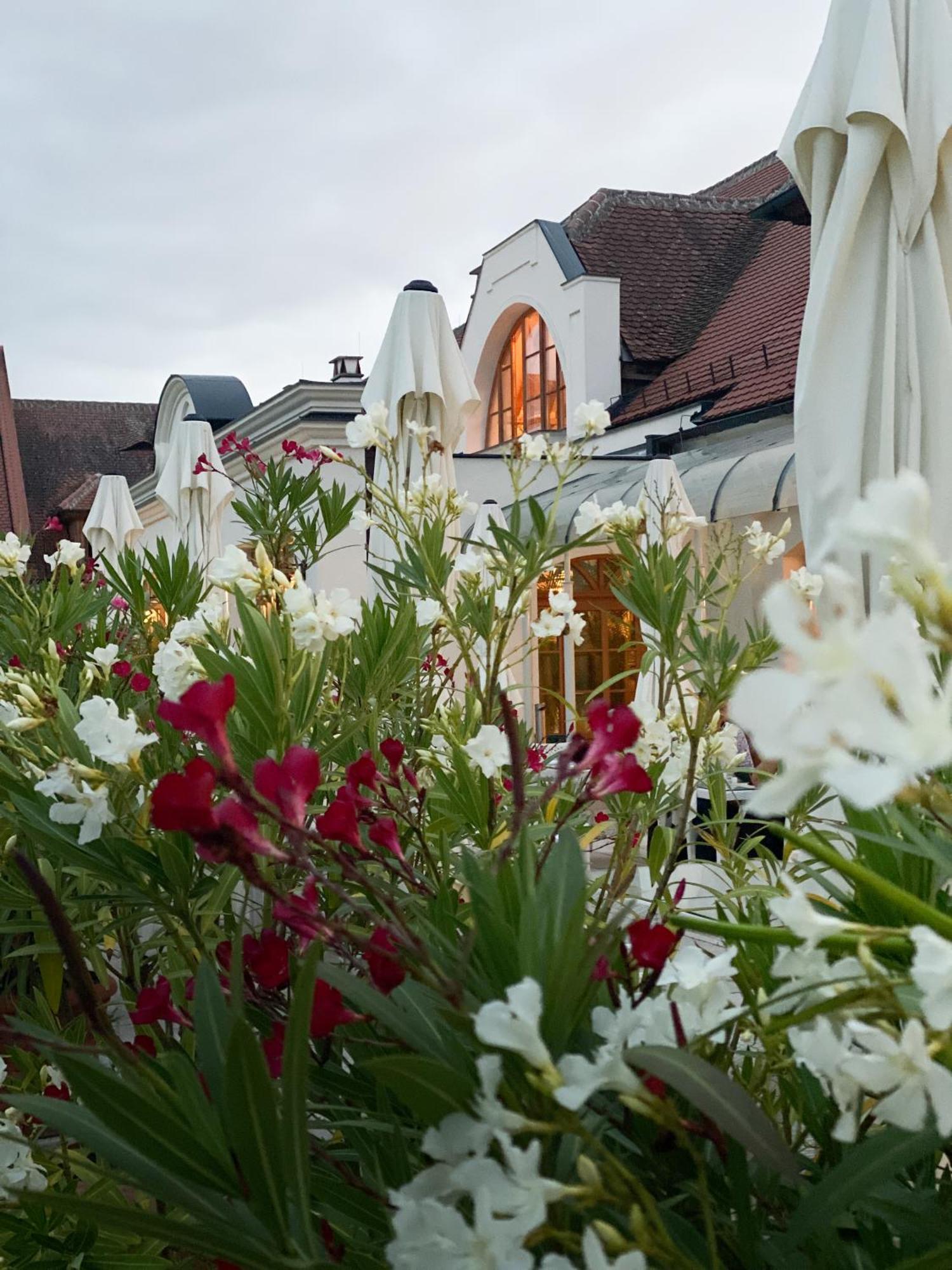 Schloss Thalheim Sankt Poelten Ngoại thất bức ảnh